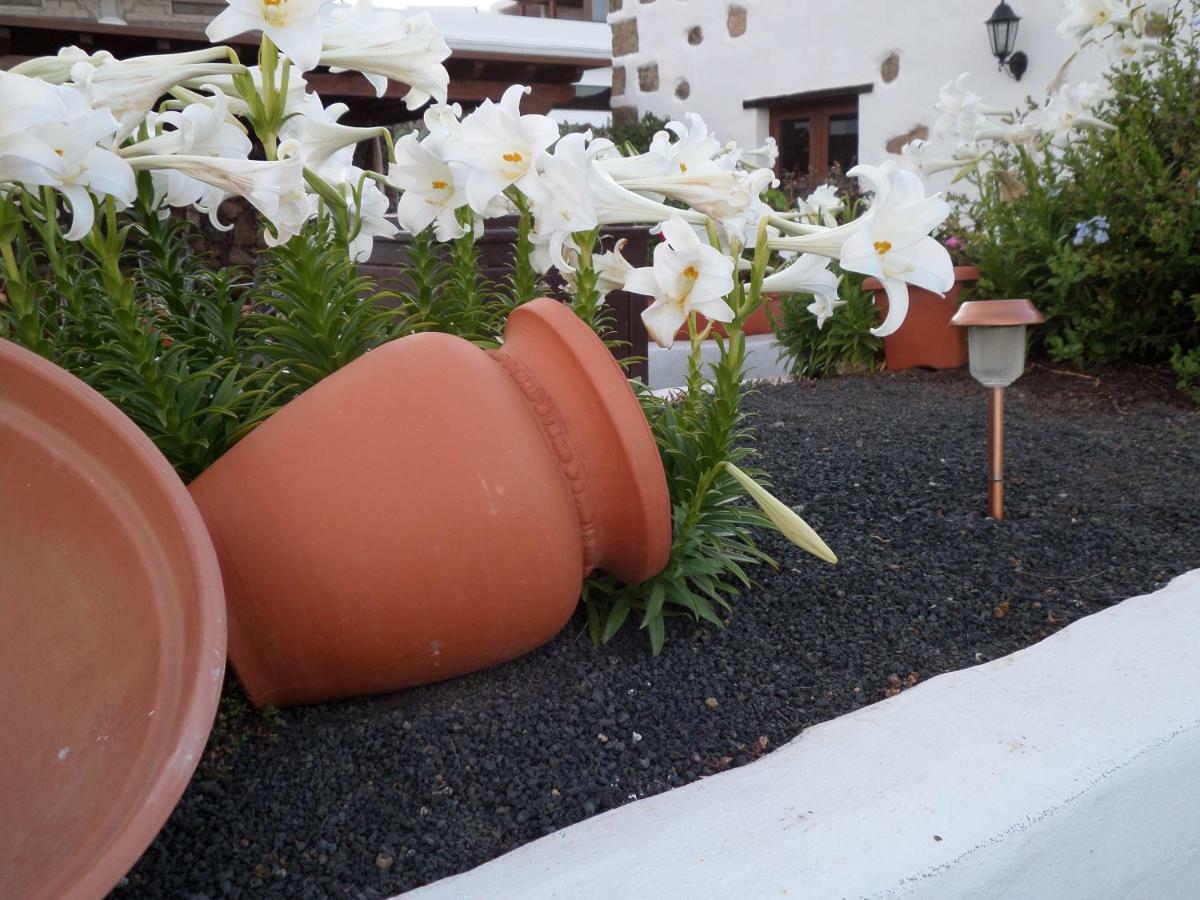 Finca De Los Abuelos Guatiza Екстериор снимка